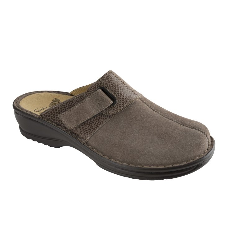 Scholl Iraty Daim Chaussure Taupe Couleur Numéro 36