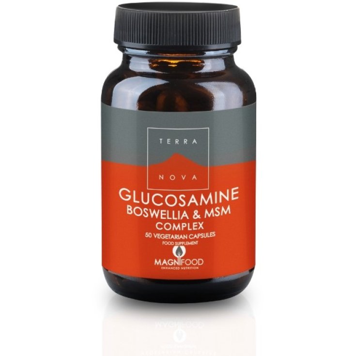 Terranova Complexe Glucosamine Boswelia 50 Gélules