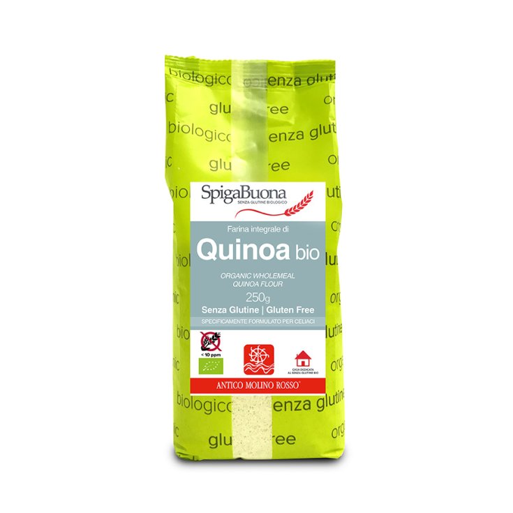 SpigaBuona Farine Complète Quinoa Bio Sans Gluten 250g