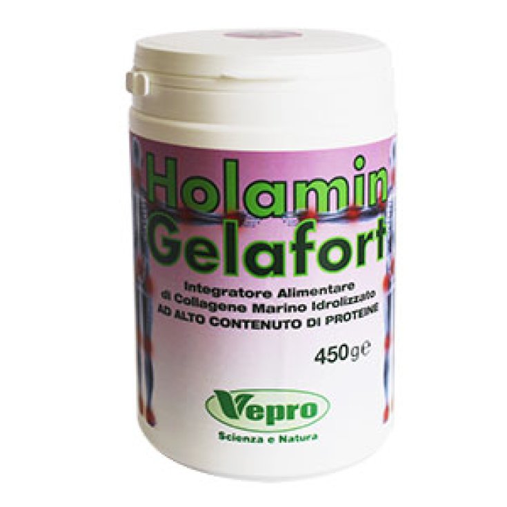 Holamin Gelafort Poudre Complément Alimentaire 450g