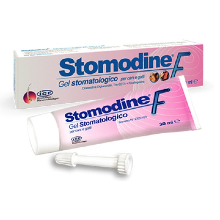 Icf Stomodine F Gel Stomatologique 30ml