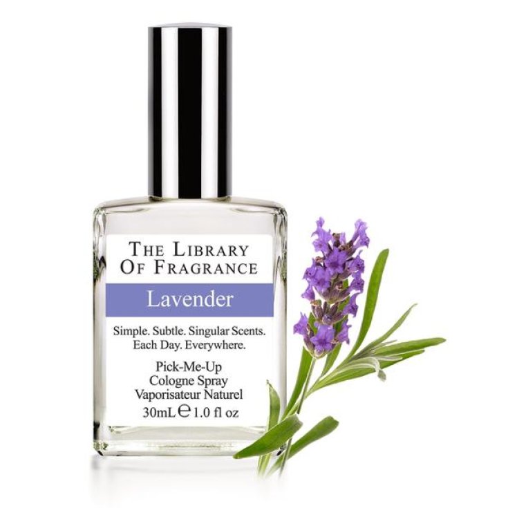 The Library Of Fragrance Parfum Lavande 30ml