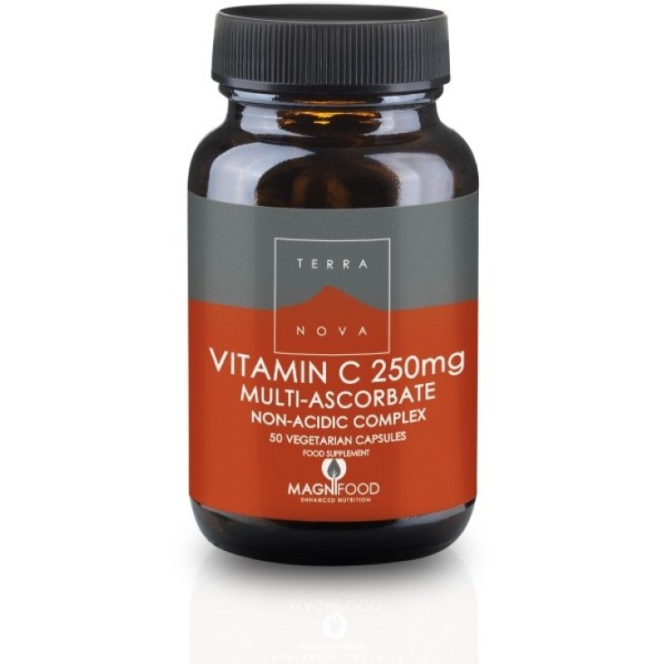 Terra Nova Vitamine C 250mg Complément Alimentaire 50 Gélules