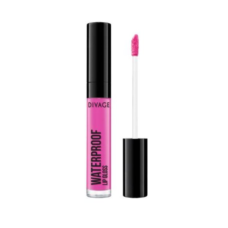 Divage Waterproof Long Lasting Lipgloss Couleur 04 Fuchsia