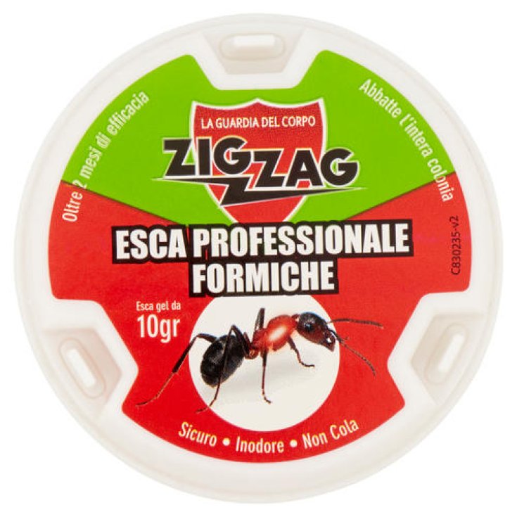 Deisa Ebano Zig Zag Bait Insecticide Anti fourmis 10g