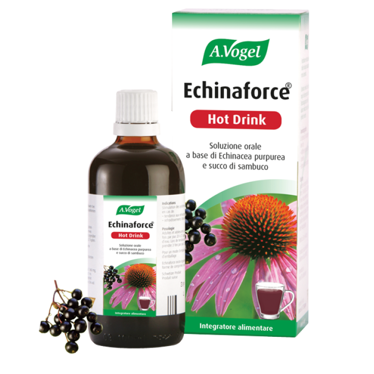 Echinaforce Complément Alimentaire Boisson Chaude 100 ml