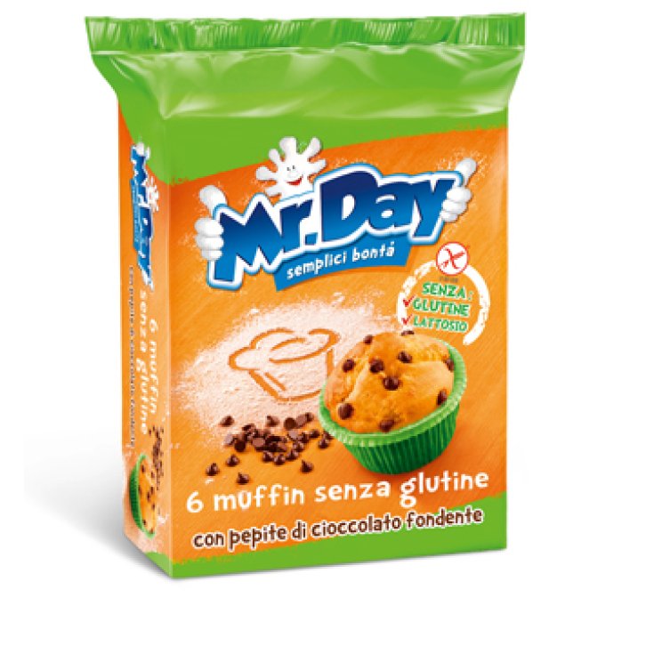 Mr Day Muffin Aux Pépites De Chocolat Sans Gluten 252g