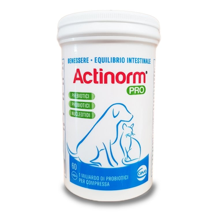 Actinorm Pro 60 Comprimés