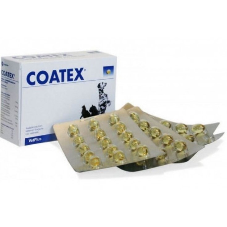 Vetplus Coatex Aliment Complémentaire Pour Chiens Et Chats 60 Gélules