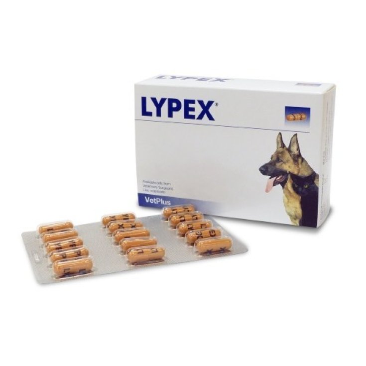 VetPlus Supplément Lypex Pour Animaux 60 Comprimés