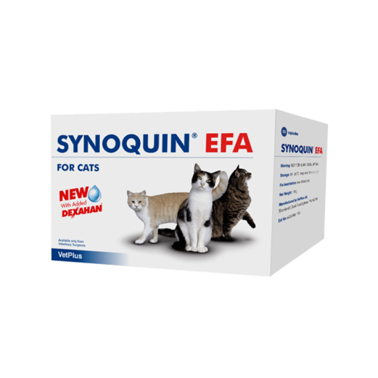 Vetplus Synoquin Aliment Complémentaire Efa Chat 30 Gélules