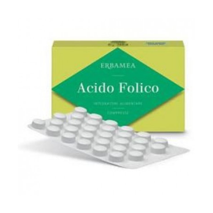 Acide Folique Erbamea Comprimés 18g 90 Comprimés
