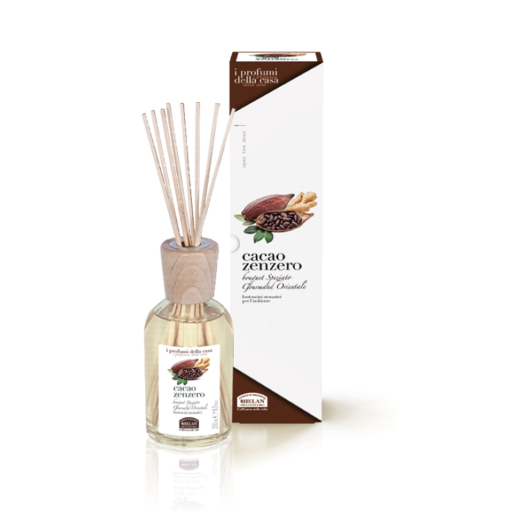 Cacao Gingembre Helan 100ml