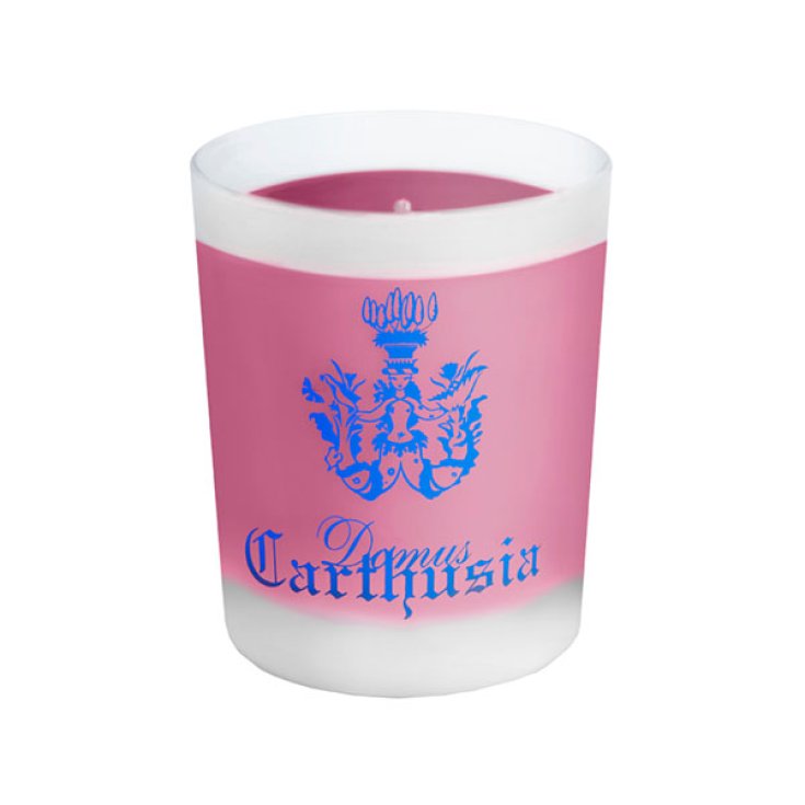 Bougie Fruit De Bacchus Carthusia 190g