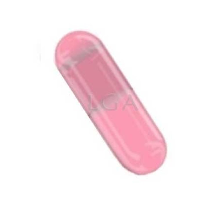 Capsules vides taille 0 rose LGA 1000 pièces