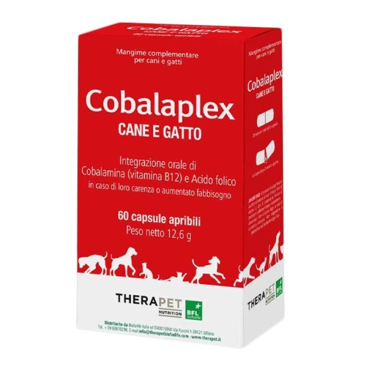 Cobalaplex Nutrition Thérapeutique Chien Et Chat BFL 60 Gélules