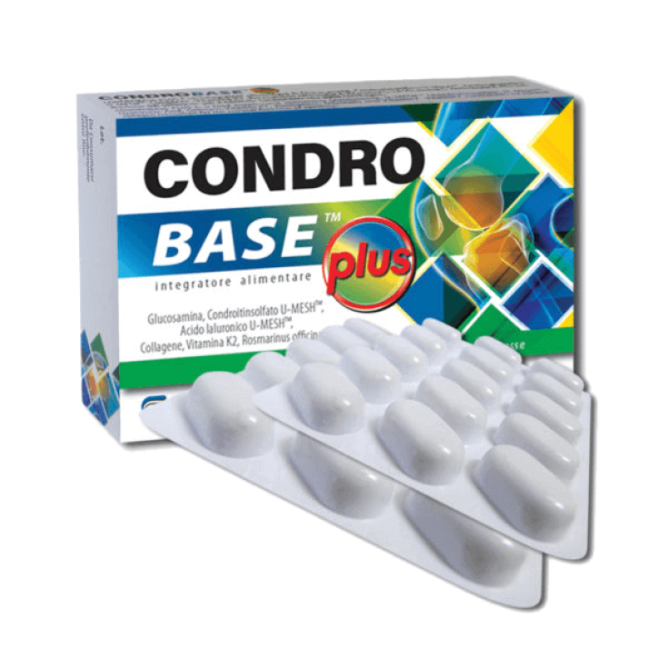 Condrobase Plus Sanitpharma 30 Comprimés