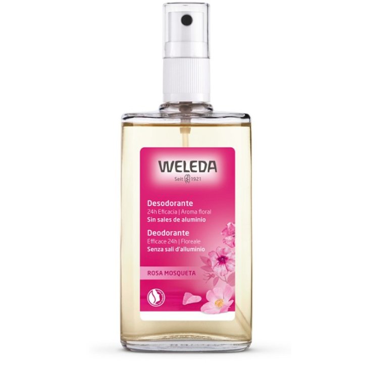 Weleda Rosa Mosqueta Déodorant 100 ml