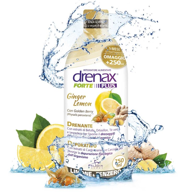 Drenax® Forte Gingembre Citron Plus Paladin Pharma 750ml