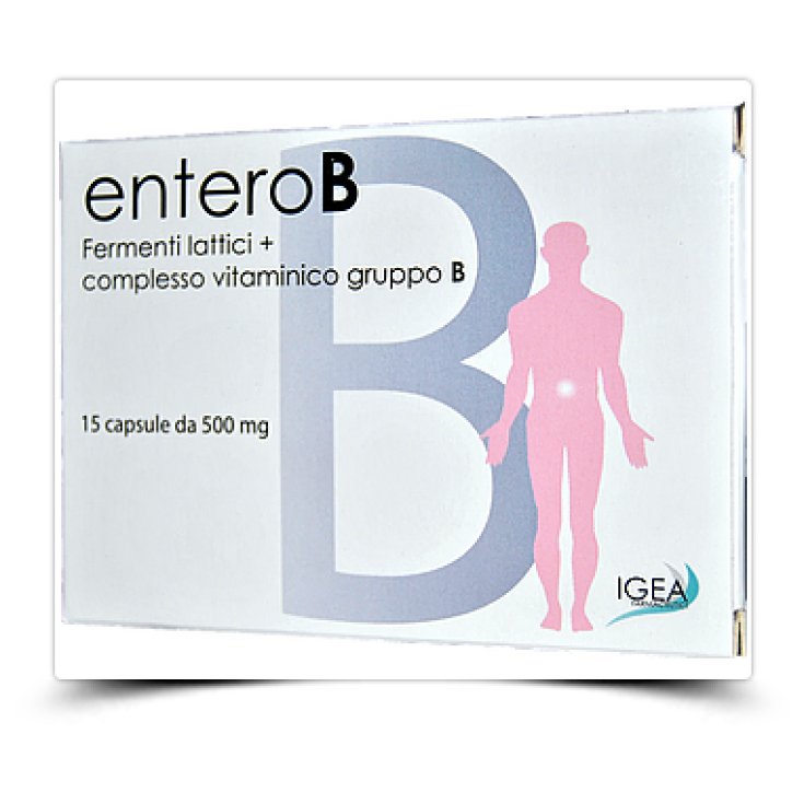 EnteroB Igéa 15 Gélules 500mg