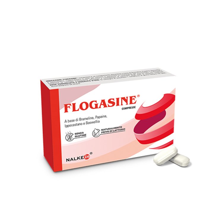 Flogasine® Nalkein® 20 Comprimés