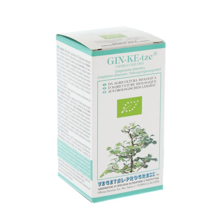 Gin-Ke-tze® Progrès Végétal Comprimés 80 Comprimés de 600mg