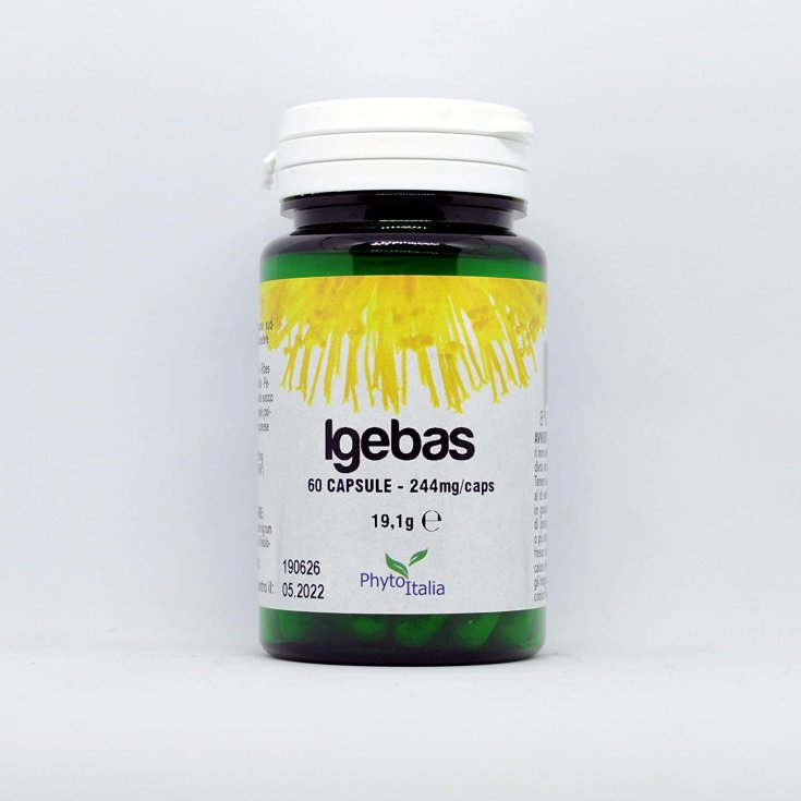 Igebas Phyto 60 Gélules