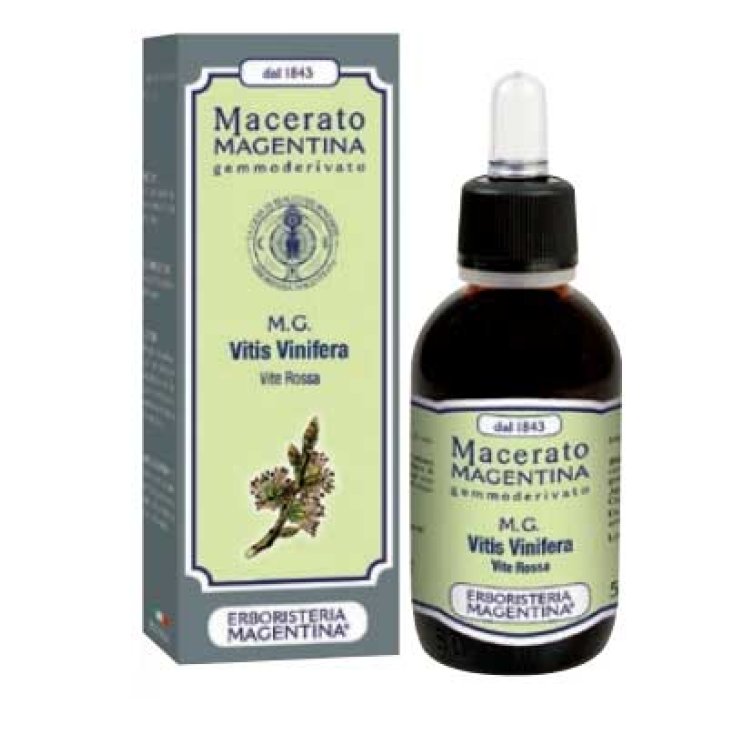 Macérat Magentina Vitis Venifera Herbal Magentina® 50ml