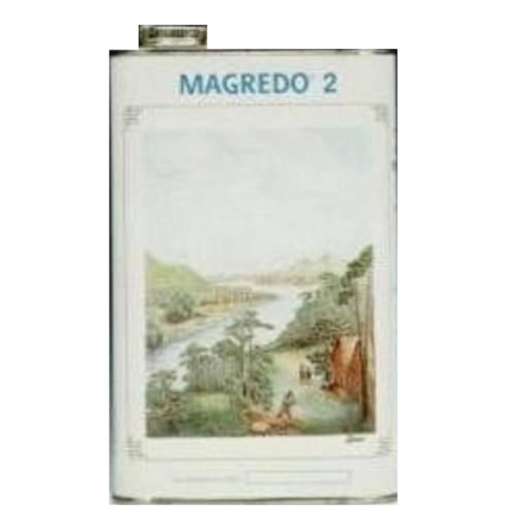 Magredo® 2 Végétal Progrès Sirop d'érable 1320g