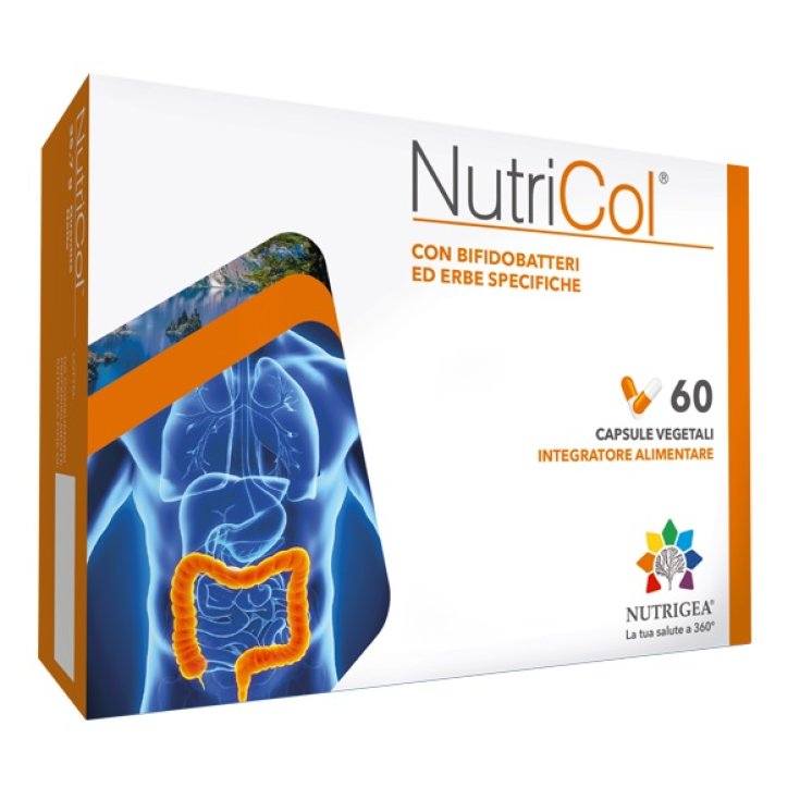 NutriCol® NUTRIGEA® 60 Capsules Végétariennes