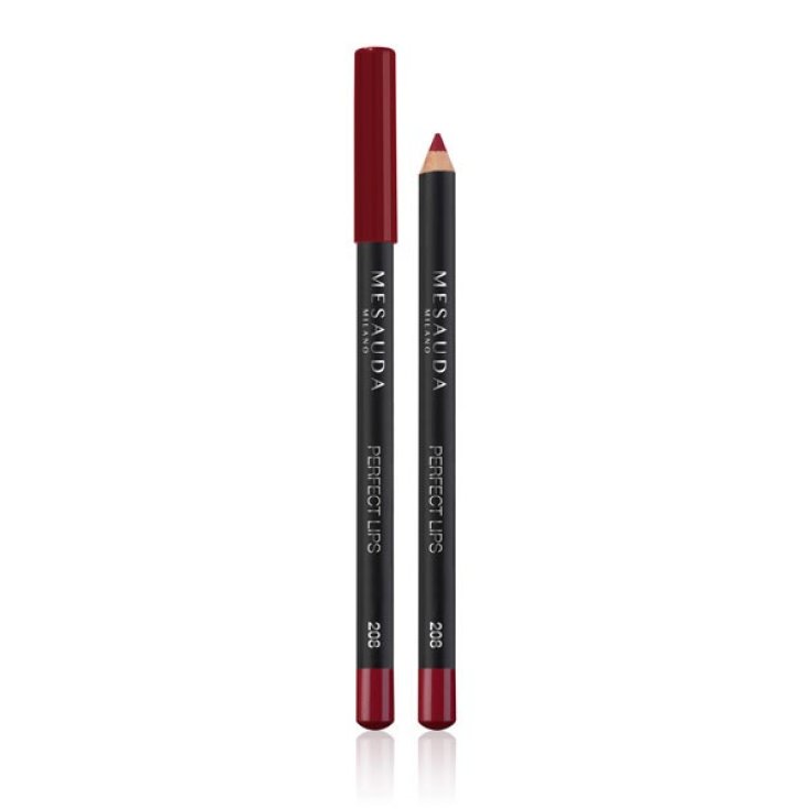 MESAUDA LÈVRES PARFAITES 208 RUBIS