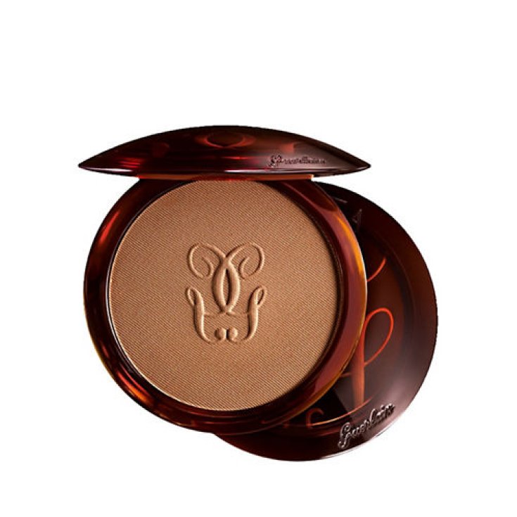 GUE TERRA POUDRE BRONZANT 01