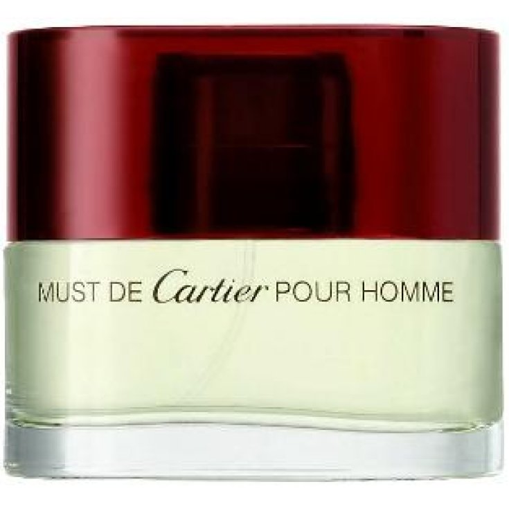 @CARTIER DOIT HOMME EDT 100 V