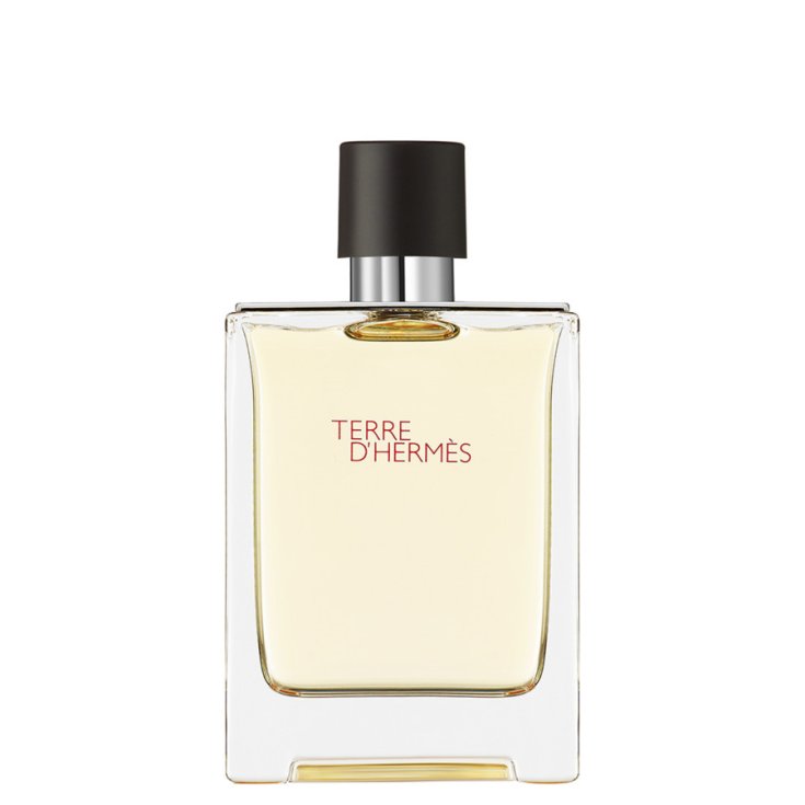 HERMÈS TERRE EDT 100 VAPO HERMÈS TERRE EDT 100 VAPO