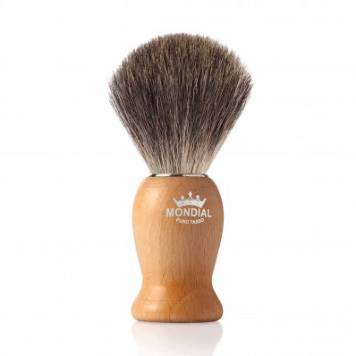 Blaireau Mondial Nelson Badger Érable