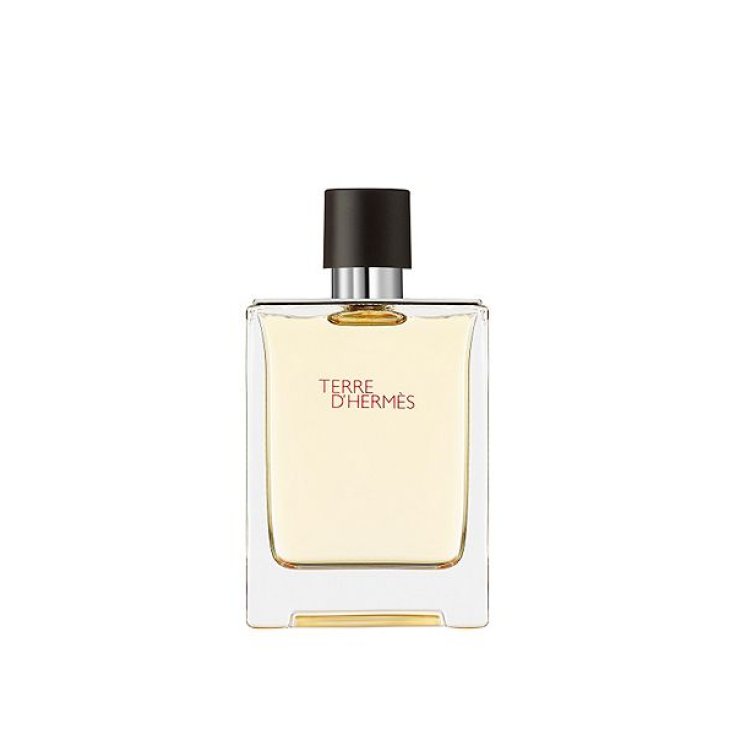 Hermes Terre D'hermes Eau De Toilette Vaporisateur 100ml Édition Limitée