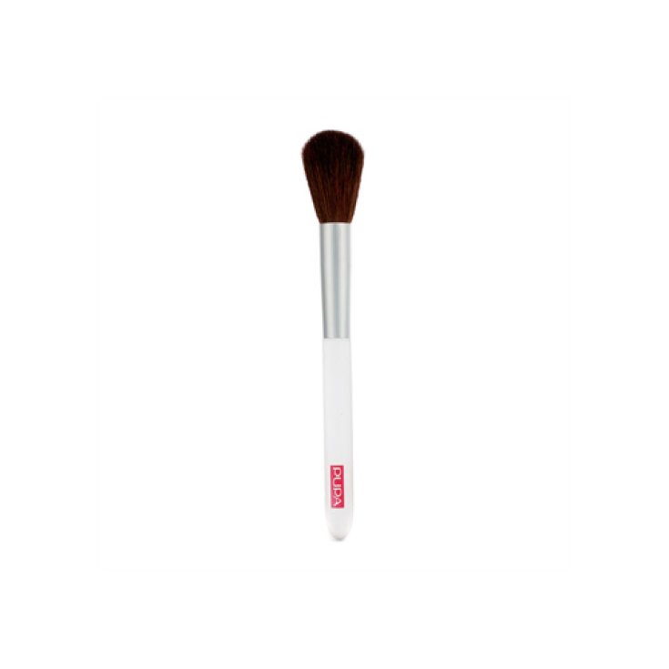 @PUPA BLUSHER BROSSE