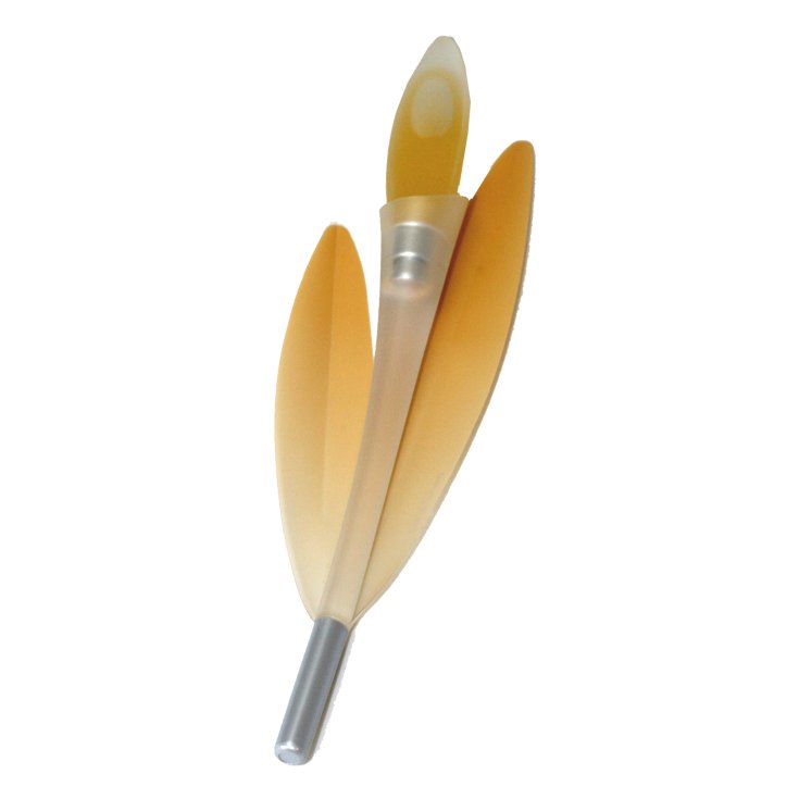 @BOUQUET FLEUR TULIPE 06 EN ESA