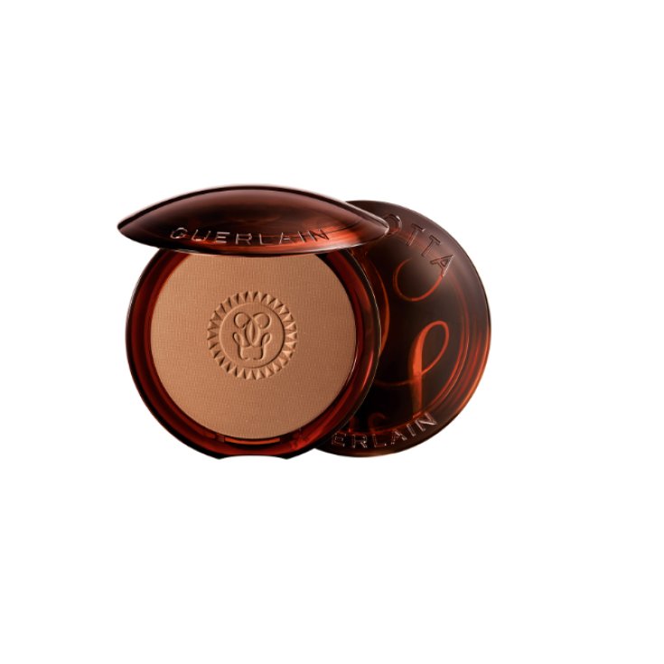 GUE TERRA POUDRE BRONZANT 02