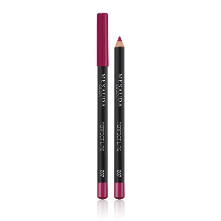 Mesauda Perfect Lips Crayon à lèvres 207