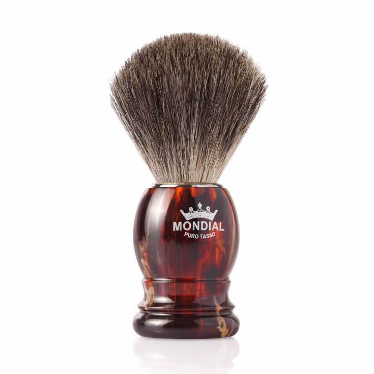 Mondial Boston Badger Turtle Brush 1 pièce