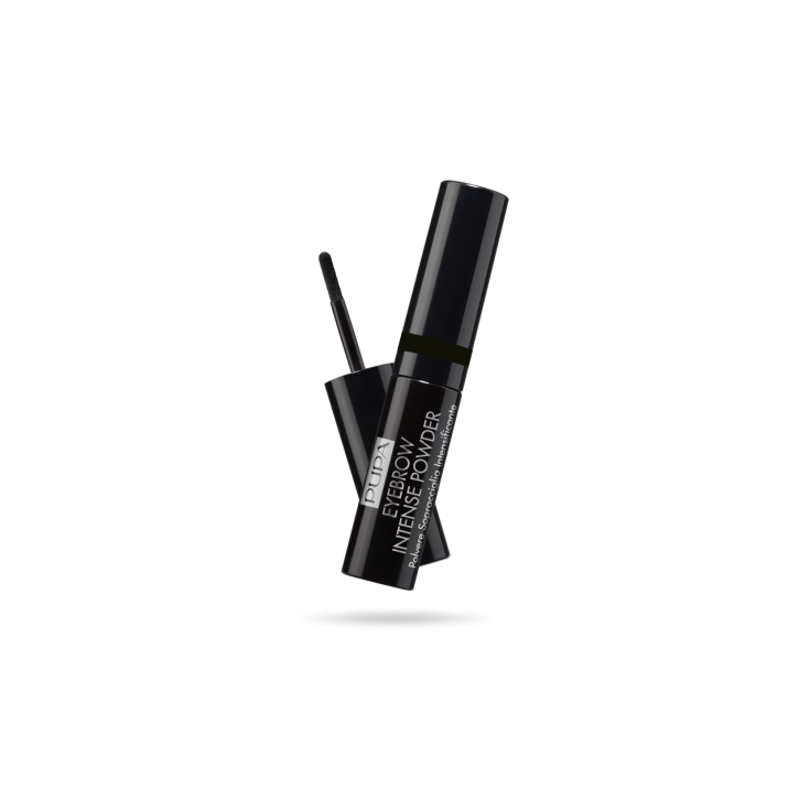 PUPA SOURCILS POUDRE INTENSE 004