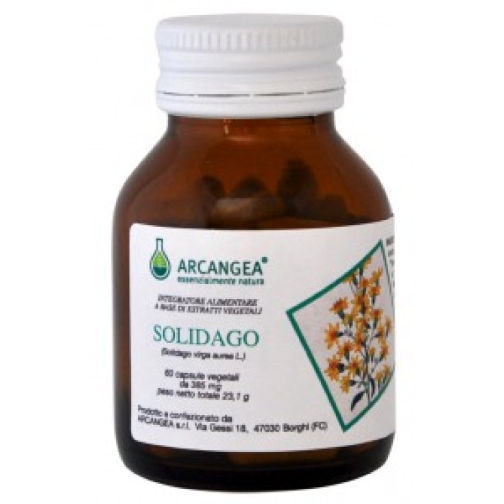 Solidago Bio Arcangea® 60 Gélules 385mg