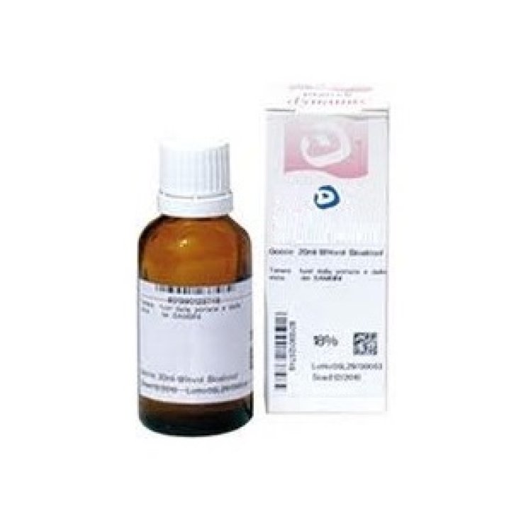 UNDA Symphytum Officinalis 9CH Gouttes Médicament Homéopathique 10ml