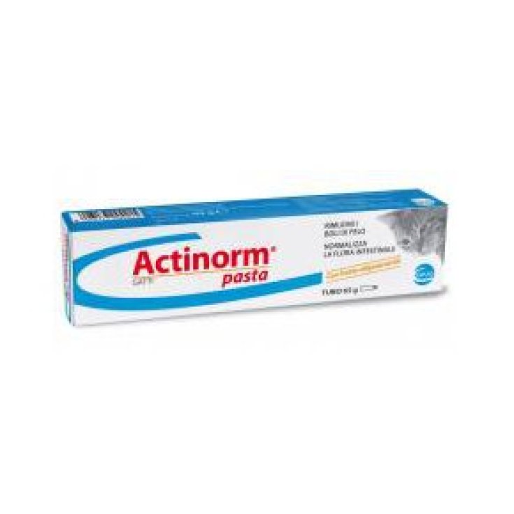 Actinorm® Pâtes Chats CEVA 65g