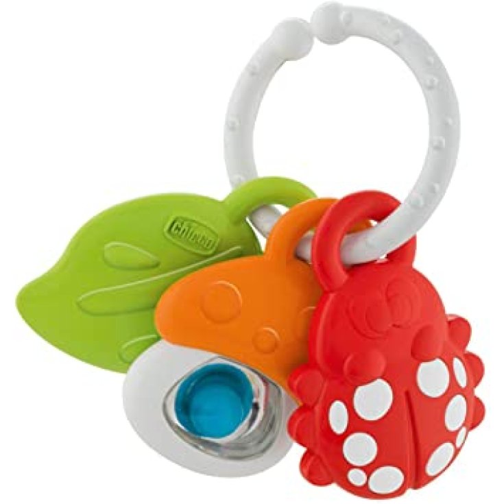 Friends Of Nature Baby Senses CHICCO Hochet 3-18 Mois