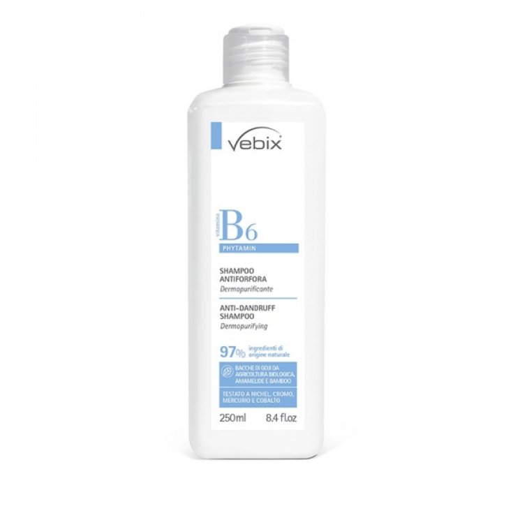 B6 Vebix Shampooing Antipelliculaire 250 ml