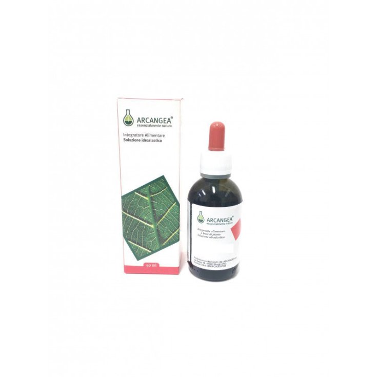 Arcangea® BIO Bergamote 5ml