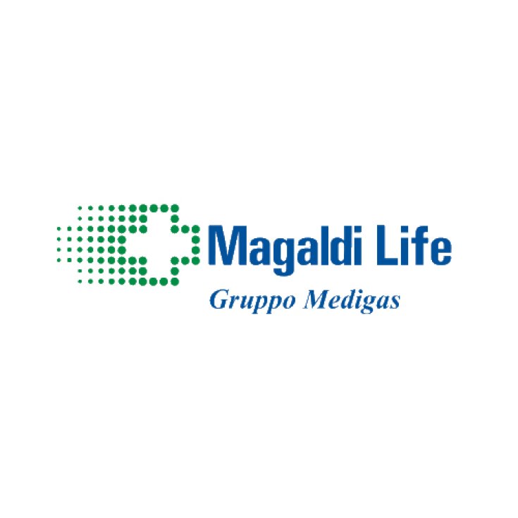 Sanilife Désinfectant pour les mains Megaldi Life Spray