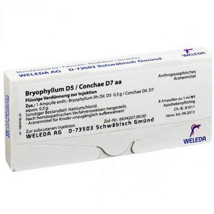 Bryophyllum D5 / Conchae D7 Weleda 8 Ampoules de 1 ml